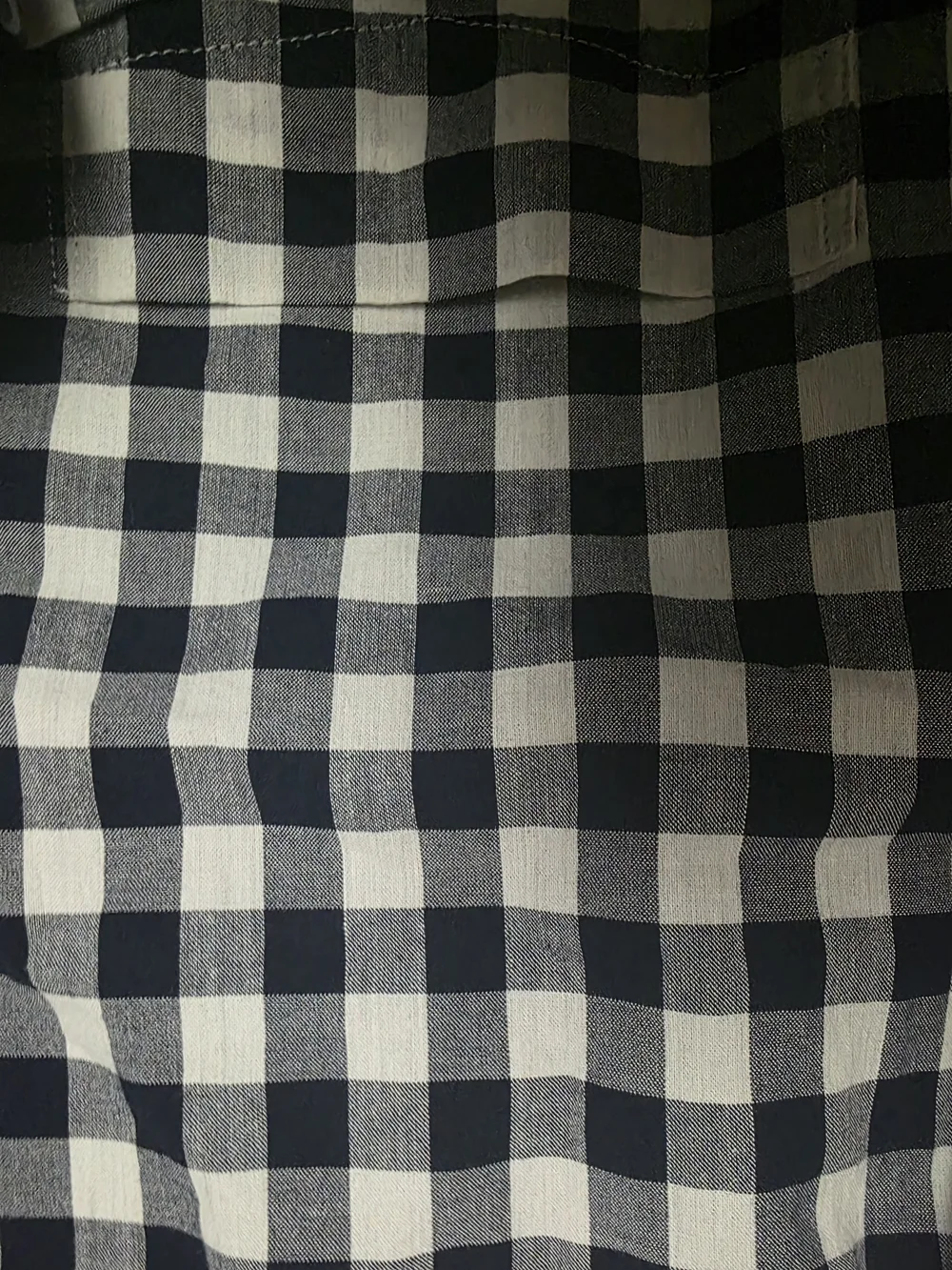 J. Crew Navy and White Gingham Button-Down Shirt